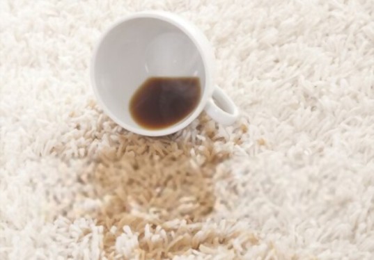 Carpet Cleaning Compare